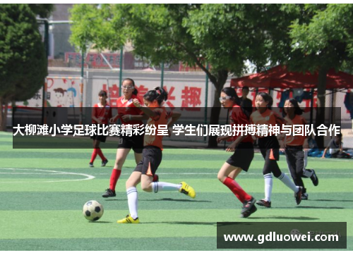 大柳滩小学足球比赛精彩纷呈 学生们展现拼搏精神与团队合作