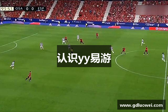 认识yy易游